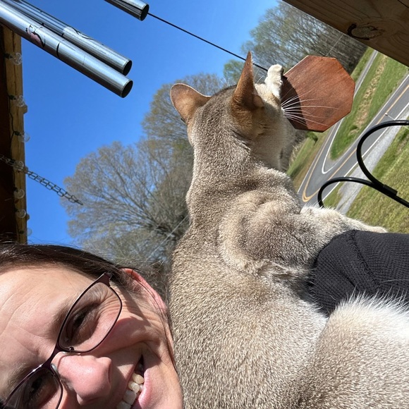 Meet your Posher, Elizabeth - Picture 5 of 7